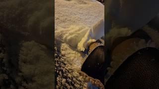 Scraping snow off windscreen