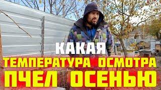 При какой температуре можно осматривать пчел осенью