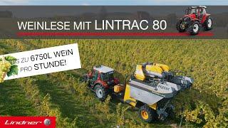 Weinlese mit dem Lintrac 80