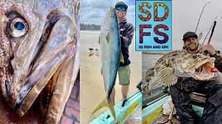 FISHING CALIFORNIA | Where & When 2024 | Yellowtail White Seabass Halibut Lingcod Lobster Crab SDFS