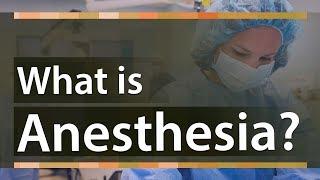 What is Anesthesia | Types of Anesthesia And How does it Work | Education Terminology