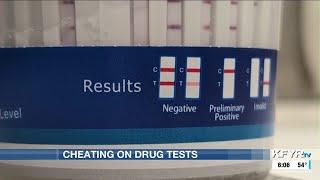 Quest Diagnostics report finds increase in cheating on drug tests