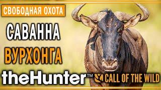 theHunter Call of the Wild #8  - Саванна Вурхонга (часть 2) - Свободная Охота