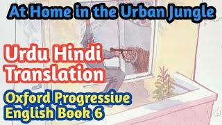 At Home in the Urban Jungle with translation and Solved Exercise  Oxford Progressive English Book 6