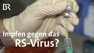 Möglicher Schutz gegen das RS-Virus: Was können die neuen Impfstoffe? | Gesundheit | BR