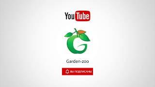 Трейлер Канала Garden-zoo  Канал для садовода и дачника