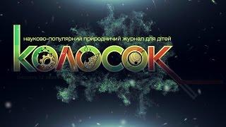 Флешмоб "МОЯ ДИТИНА ЧИТАЄ КОЛОСОЧОК". Журнал "Колосок", газета "Колосочок"