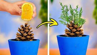 Top Secret Gardening Hacks You Wish You Knew Sooner! 