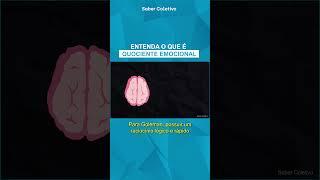 O Que é Inteligência Emocional? Dá Pra Desenvolver?