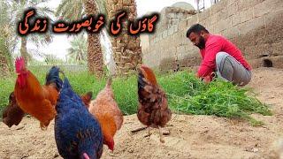 Gaon Ki Zindagi  || Village Life Vlogs || Tahir bhai vlog