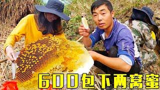Big loss this time! Today  I spent 600 yuan to pack two nests of wild loquat honey  but I didn't ex