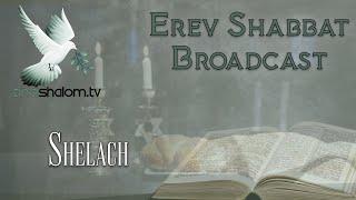 Erev Shabbat | Shelach L'cha: Send For Yourself