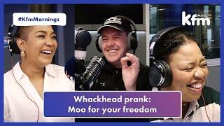 Whackhead asks a man to moo in this hilarious prank