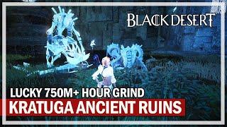 LUCKY 750M Hour at Kratuga Ancient Ruins - Succession Dark Knight | Black Desert