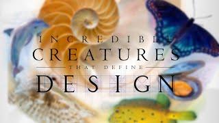 Incredible Creatures That Define Design | Full Movie | Steve Greisen | Rossi Morreale