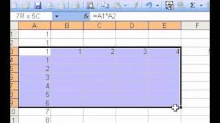 Microsoft Office Excel 2003 Create a multiplication table