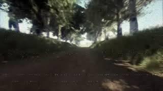 random dirt rally 2.0 edit