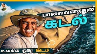 ஒரு பயணும் Lift தரல | Traveling In Desert  கொடுமைகள் | Namibia | Tamil Trekker