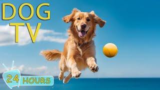 DOG TV: Top Video to Keep Your Dog Entertained When Home Alone - Best Collection of Dogs Music Relax