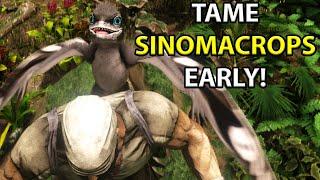 Easy Early Game Sinomacrops Tame (Ark lost Island)