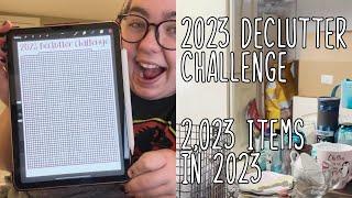 Decluttering Challenge — 2,023 items in 2023 | Working Toward Sustainable & Minimalist-ish Home