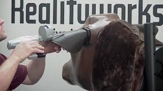 Bovine Injection Simulator - Growth Hormone Implant Product Support