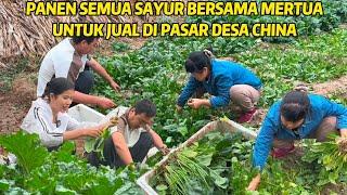 BERSAMA MERTUA PANEN SEMUA SAYUR DIKEBUN UNTUK JUAL DI PASAR KANJI, SAYURNYA SEGAR DAN BANYAK