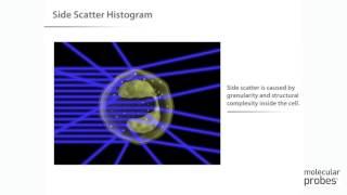 Molecular Probes Tutorial Series—Introduction to Flow Cytometry