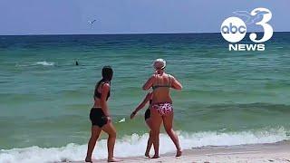 VIDEO: Shark spotted roaming shallow waters at Perdido Key Beach in Florida