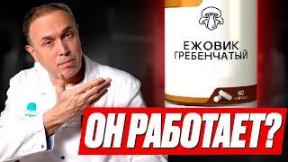 Как добиться вечной молодости мозга? — ЕЖОВИК ГРЕБЕНЧАТЫЙ