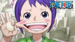 Tama Makes a New Friend! | One Piece