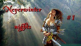 Прохождение Neverwinter nights. Максимальная сложность #1: Начало