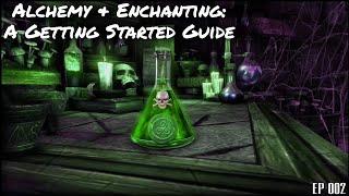 ESO Alchemy Guide | ESO Enchanting Guide [ESO Beginner's Guide]