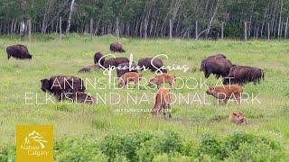 An Insider's Look at Elk Island National Park