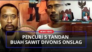 Pencuri 5 Tandan Buah Sawit Divonis Onslag, Langsung Bebas dari Lapas