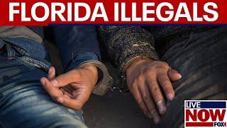 Florida strengthens illegal immigration laws | LiveNOW from FOX