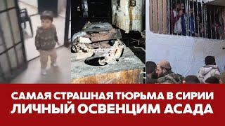 СРОЧНО САМАЯ СТРАШНАЯ ТЮРЬМА СИРИИ: ДЕТИ ЗА РЕШЕТКОЙ И СРОКИ ПО 45 ЛЕТ #новости #сирия #асад #путин