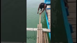 Tak di sangka bikin tegang,mancing dapat ikan hiu#shorts#shortviral #ikanhiu