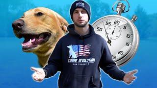 How to Train Your Dog in 6 Minutes