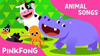 Animal Action | Animal Songs | PINKFONG Songs for Children