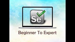 Selenium : Soft Assertion