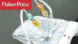 Comfort Curve Bouncer from Fisher-Price