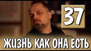 Жизнь как она есть 37 серия на русском языке. Новый турецкий сериал