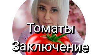 Томаты.Заключительное видео.Сколько всего томатов