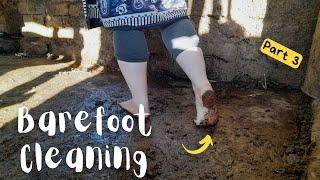 Cleaning the cow barn barefoot | Dirty feet & soles