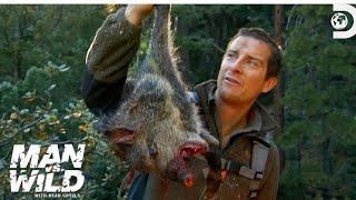 Man vs Wild  in Hindi with Bear Grylls Hindi episode Bear Grylls.  