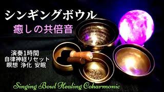 【演奏1時間  チベットシンギングボウル】 共倍音ヒーリングサウンド～瞑想・浄化・心が落ち着く・癒し　Singing Bowl Coharmonic Healing Sounds