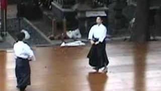 Yagyu Shingan Ryu Heijutsu Taijutsu I