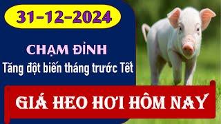 Giá hoe hơi hôm nay 31/12/2024 - Tăng đột biến trước Tết