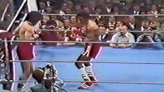 WOW!! WHAT A KNOCKOUT - Sugar Ray Leonard vs Javier Muniz, Full HD Highlights